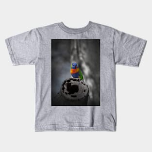 Rainbow Lorikeet_5114A Kids T-Shirt